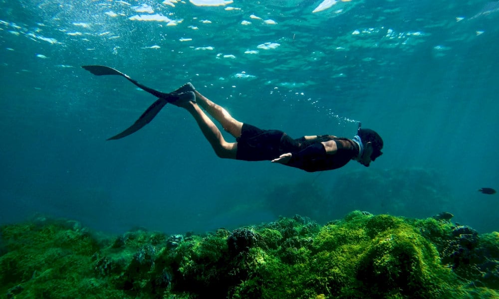 Snorkeling allows you to explore the rich underwater ecosystem